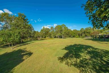 Acreage/Semi-rural For Sale - QLD - Jones Hill - 4570 - 5 ACRE LIFESTYLE PROPERTY - PRIME LOCATION  (Image 2)