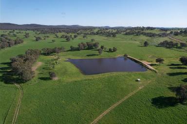 Mixed Farming For Sale - NSW - Cootamundra - 2590 - PREMIUM MIXED FARMING AND GRAZING ON THE SOUTH WEST SLOPES (Image 2)