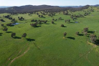 Mixed Farming For Sale - NSW - Cootamundra - 2590 - PREMIUM MIXED FARMING AND GRAZING ON THE SOUTH WEST SLOPES (Image 2)