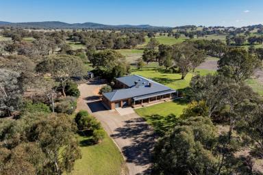 Mixed Farming For Sale - NSW - Cootamundra - 2590 - PREMIUM MIXED FARMING AND GRAZING ON THE SOUTH WEST SLOPES  (Image 2)