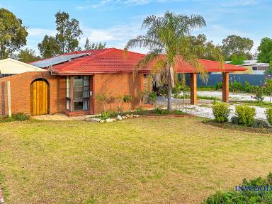 House For Sale - SA - Globe Derby Park - 5110 - Space, substance and lifestyle. The perfect family home. Rural freedom and city convenience.  (Image 2)