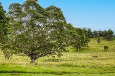 Residential Block For Sale - NSW - Kyogle - 2474 - Nearly 3 Acres with Dual Road Access  (Image 2)