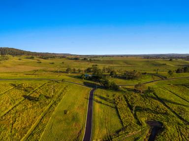 Residential Block For Sale - NSW - Kyogle - 2474 - Nearly 3 Acres with Dual Road Access  (Image 2)