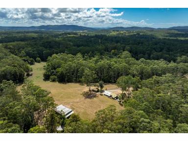 Lifestyle For Sale - NSW - Wootton - 2423 - 78 Acres of Hinterland Paradise  (Image 2)