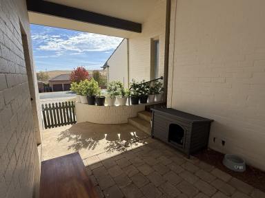 House Leased - NSW - Cooma - 2630 - Renovated Fully Furnished Home – Spacious & Comfortable Living  (Image 2)