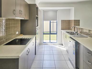 House For Sale - NSW - Kyogle - 2474 - A GREAT FAMILY HOME  (Image 2)