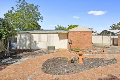 House Auction - WA - Thornlie - 6108 - Opportunity for Multigenerational Living with Endless Possibilities  (Image 2)