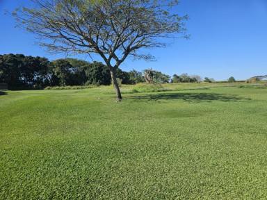 Residential Block For Sale - QLD - Ingham - 4850 - EXPANSIVE OPPORTUNITY ON THE OUTSKIRTS OF INGHAM! (Image 2)