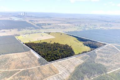 Other (Rural) For Sale - VIC - Flynns Creek - 3844 - Grazing, Lifestyle & Future Potential  (Image 2)