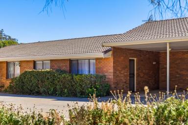 Unit For Sale - NSW - Mudgee - 2850 - QUIET COMFORT WITH INVESTMENT APPEAL  (Image 2)