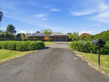 House For Sale - VIC - Eastwood - 3875 - RESORT STYLE LIVING IN THE HEART OF EASTWOOD  (Image 2)