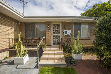 House For Sale - WA - Morley - 6062 - VENDOR HAS BOUGHT ELSEWHERE  (Image 2)