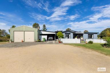 Acreage/Semi-rural For Sale - NSW - Candelo - 2550 - IMMACULATE SMALL ACREAGE LIVING - MINUTES FROM TOWN  (Image 2)