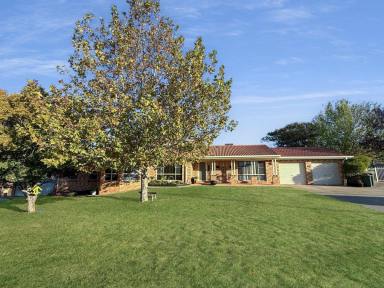 House For Sale - NSW - Young - 2594 - Boxes, Ticked!  (Image 2)