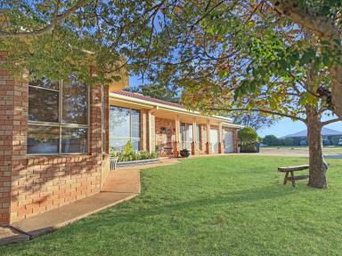 House For Sale - NSW - Young - 2594 - Boxes, Ticked!  (Image 2)