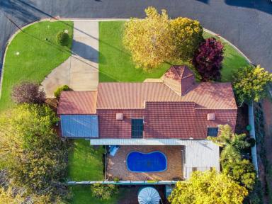 House For Sale - NSW - Young - 2594 - Boxes, Ticked!  (Image 2)