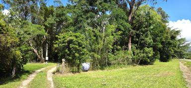 Residential Block For Sale - QLD - Carruchan - 4816 - Lifestyle Block with Shed Perfect Rural  Getaway  (Image 2)