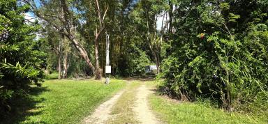 Residential Block For Sale - QLD - Carruchan - 4816 - Lifestyle Block with Shed Perfect Rural  Getaway  (Image 2)