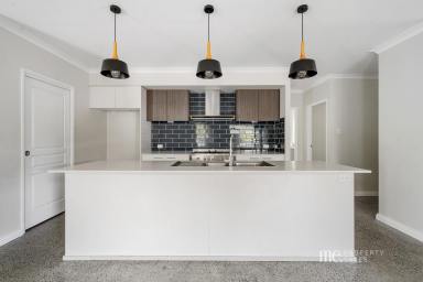 House For Sale - QLD - Dayboro - 4521 - Hampton’s Style Family Living in a Prime Village Setting  (Image 2)