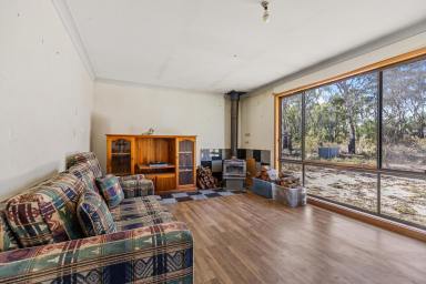 Lifestyle For Sale - NSW - Gulgong - 2852 - ESCAPE. EXPLORE. UNWIND.  (Image 2)