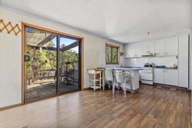 Lifestyle For Sale - NSW - Gulgong - 2852 - ESCAPE. EXPLORE. UNWIND.  (Image 2)