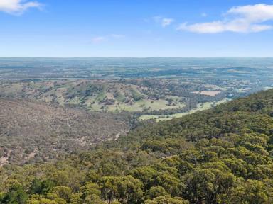 Acreage/Semi-rural For Sale - VIC - Tallarook - 3659 - ESCAPE TO A RARE OPPORTUNITY  (Image 2)