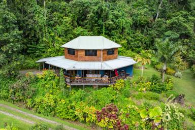 House For Sale - QLD - Daintree - 4873 - IMPRESSIVE PROPERTY IN THE HEART OF DAINTREE  (Image 2)