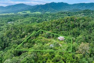 House For Sale - QLD - Daintree - 4873 - IMPRESSIVE PROPERTY IN THE HEART OF DAINTREE  (Image 2)