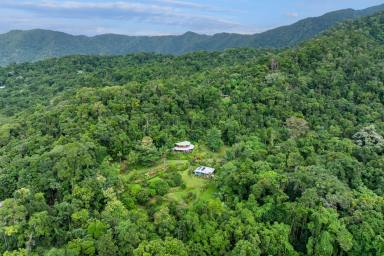 House For Sale - QLD - Daintree - 4873 - IMPRESSIVE PROPERTY IN THE HEART OF DAINTREE (Image 2)