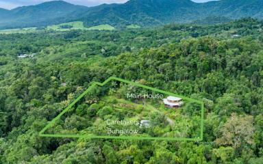 House For Sale - QLD - Daintree - 4873 - IMPRESSIVE PROPERTY IN THE HEART OF DAINTREE  (Image 2)