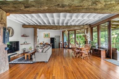 House For Sale - QLD - Daintree - 4873 - Impressive property in the heart of the Daintree.  (Image 2)