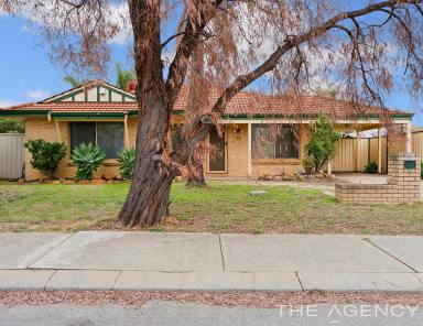 House For Sale - WA - Maddington - 6109 - KISS YOUR LANDLORD GOODBYE!  (Image 2)