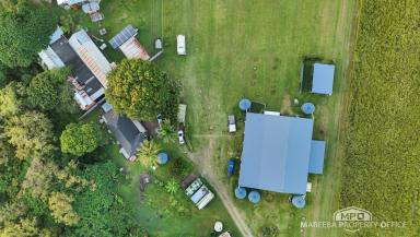 Lifestyle For Sale - QLD - Mareeba - 4880 - BARRON RIVER BEAUTY – LIFESTYLE & HUGE SHED  (Image 2)