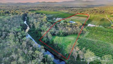 Lifestyle For Sale - QLD - Mareeba - 4880 - BARRON RIVER BEAUTY – LIFESTYLE & HUGE SHED  (Image 2)