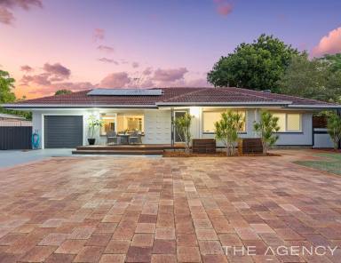 House For Sale - WA - Kewdale - 6105 - ABSOLUTELY IMMACULATE  (Image 2)
