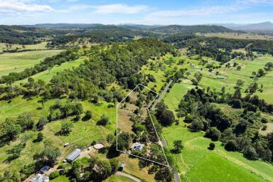 Lifestyle For Sale - NSW - Kyogle - 2474 - Quiet Country Living  (Image 2)