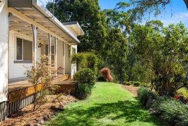 Lifestyle For Sale - NSW - Kyogle - 2474 - Quiet Country Living (Image 2)