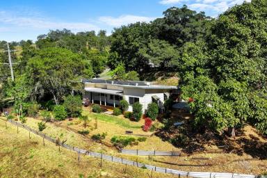 Lifestyle For Sale - NSW - Kyogle - 2474 - Quiet Country Living  (Image 2)