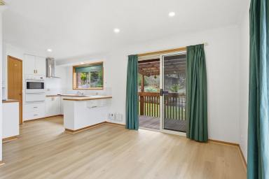 House For Lease - TAS - Montrose - 7010 - Positioned in the heart of Montrose  (Image 2)
