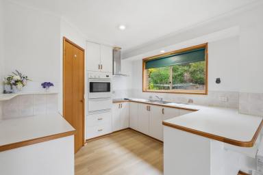 House For Lease - TAS - Montrose - 7010 - Positioned in the heart of Montrose  (Image 2)