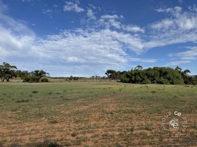 Lifestyle For Sale - SA - Cambrai - 5353 - Enjoy having your own space and the freedom to do your own thing.  (Image 2)