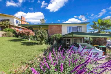 House For Sale - NSW - Tumut - 2720 - Charm and Character Filled Home  (Image 2)