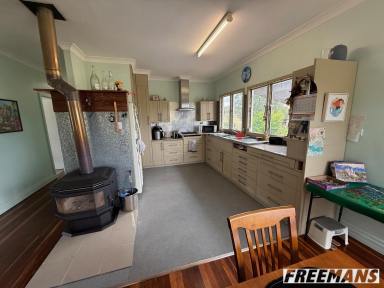 House For Sale - QLD - Ellesmere - 4610 - A Five Acre Country Tree Change - Ellesmere  (Image 2)