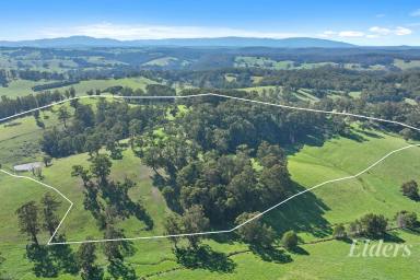 Lifestyle For Sale - VIC - Neerim South - 3831 - "Ambleside" - A Private 65 Acre Country Escape  (Image 2)