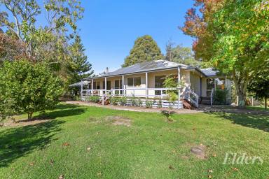 Lifestyle For Sale - VIC - Neerim South - 3831 - "Ambleside" - A Private 65 Acre Country Escape  (Image 2)