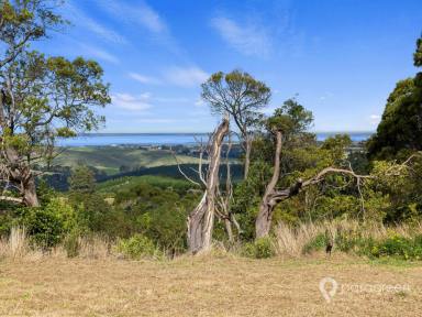 Lifestyle For Sale - VIC - Toora North - 3962 - RURAL LIVING POTENTIAL WITH AMAZING VIEWS. (Image 2)