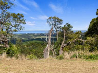 Lifestyle For Sale - VIC - Toora North - 3962 - RURAL LIVING POTENTIAL WITH AMAZING VIEWS.  (Image 2)