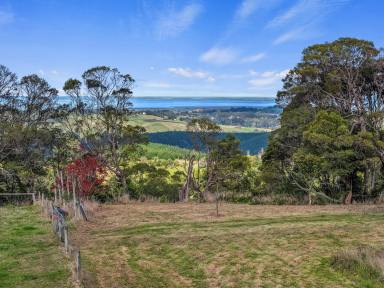 Lifestyle For Sale - VIC - Toora North - 3962 - RURAL LIVING POTENTIAL WITH AMAZING VIEWS.  (Image 2)