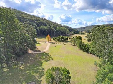 Lifestyle For Sale - NSW - Laguna - 2325 - Yango Country Lifestyle Perfection  (Image 2)