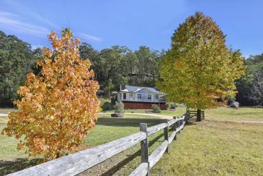 Lifestyle For Sale - NSW - Laguna - 2325 - Yango Country Lifestyle Perfection  (Image 2)